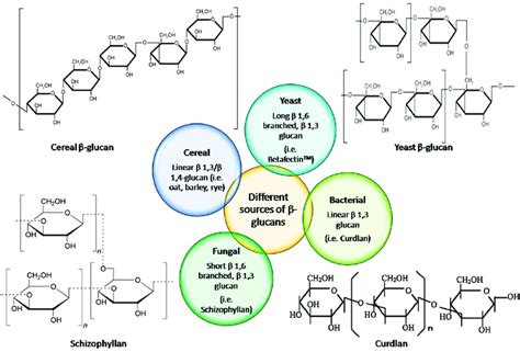 beta 1 3d glucan|Structures, Biosynthesis, and Physiological Functions of (1,3;1,4).
